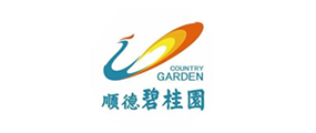 合作伙伴